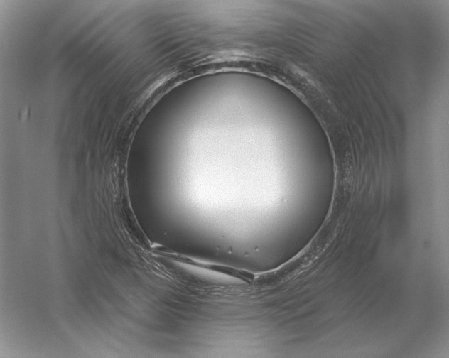 X0000056011313200509092101