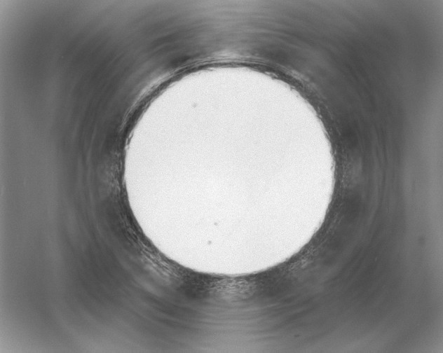 X0000056011314200509092101