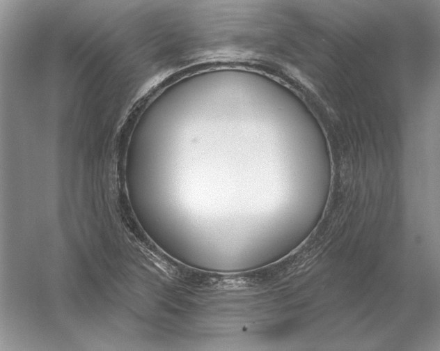 X0000056011315200509092101