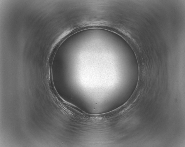 X0000056011317200509092101