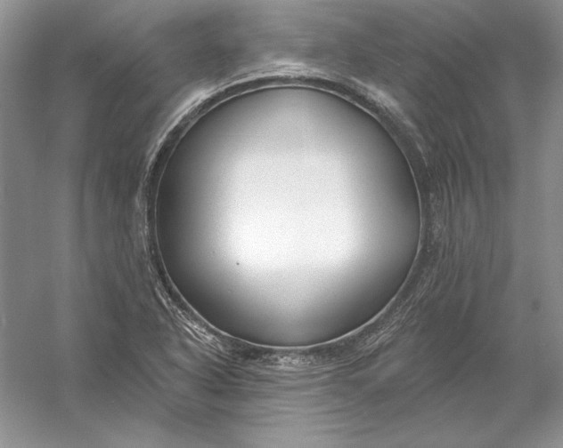 X0000056011318200509092101