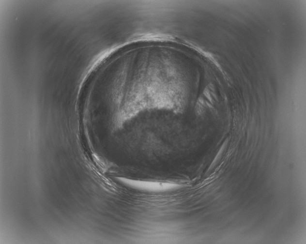 X0000056011319200509092101