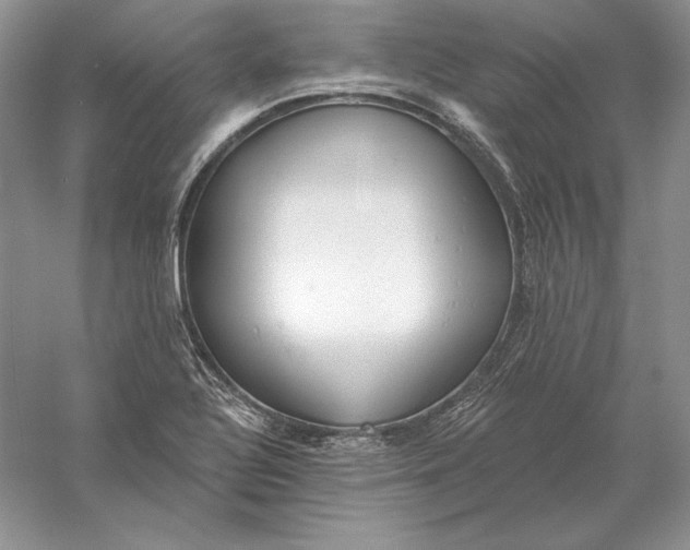 X0000056011320200509092101