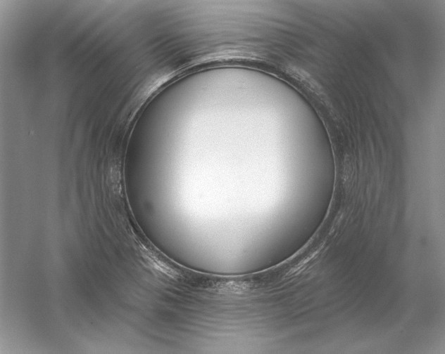 X0000056011321200509092102