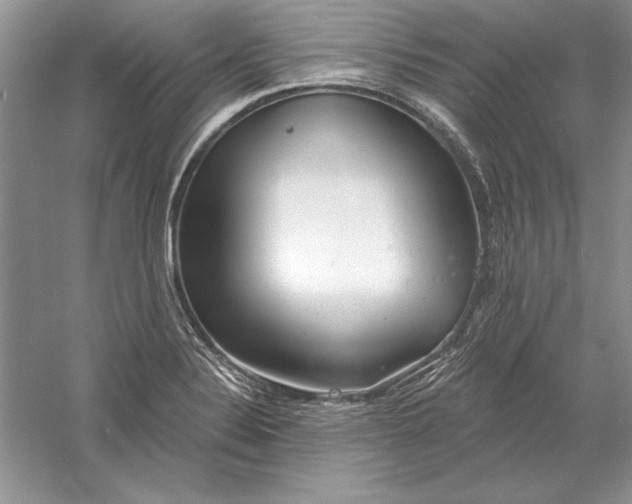 X0000056011324200509092102