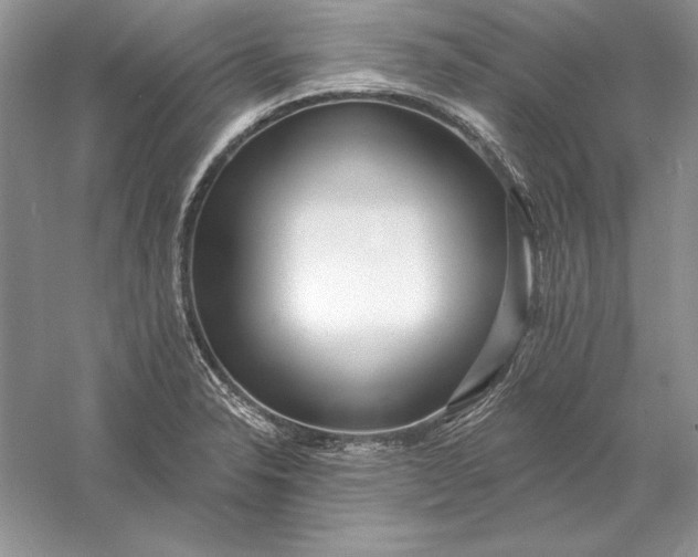 X0000056011326200509092102