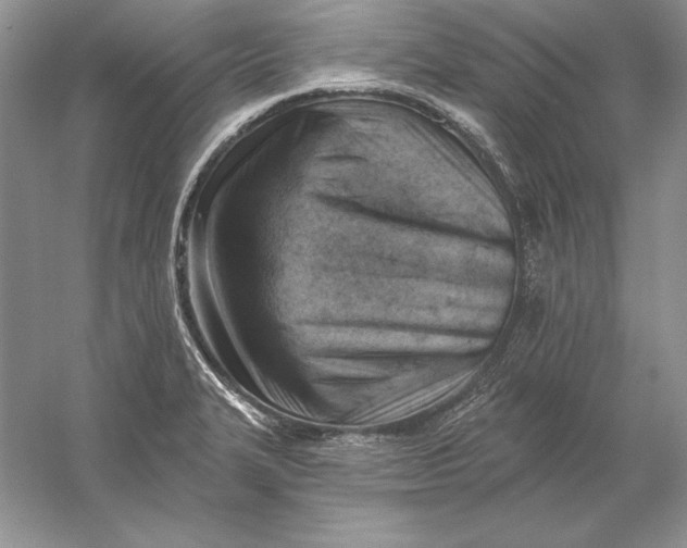 X0000056011327200509092102