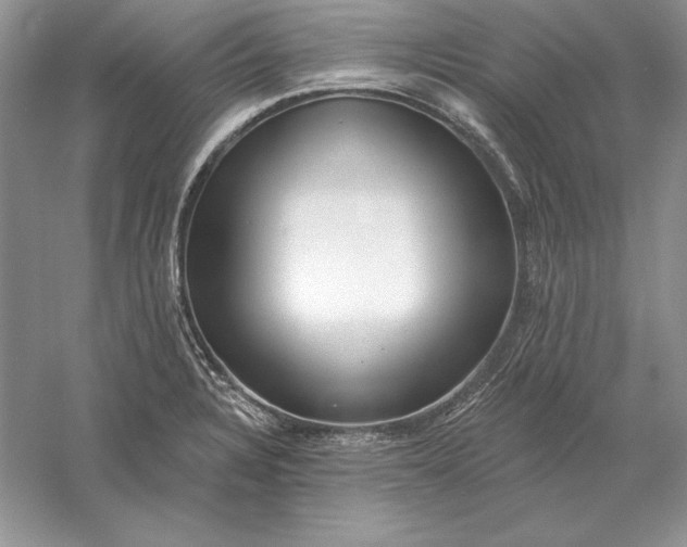 X0000056011328200509092102