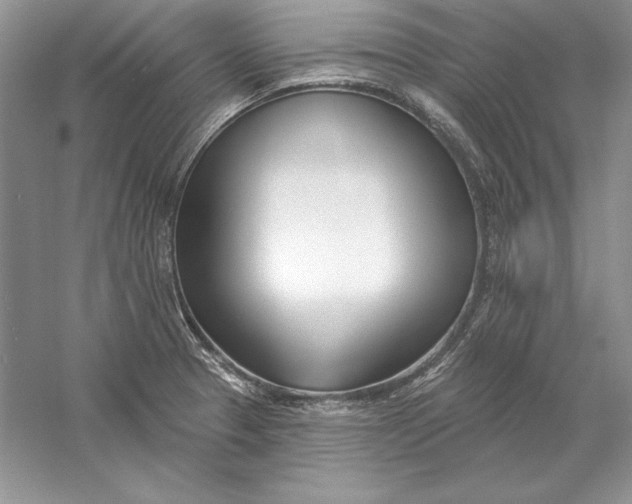 X0000056011329200509092102