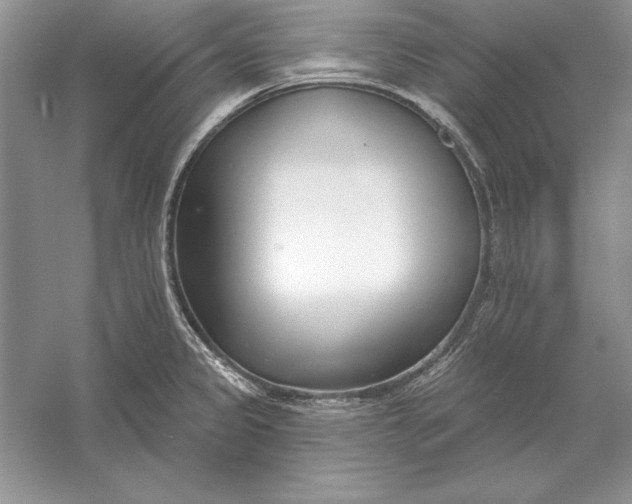 X0000056011333200509092102