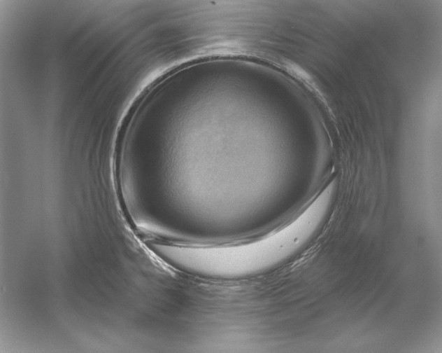 X0000056011334200509092102