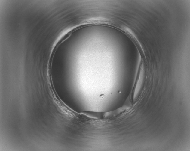 X0000056011336200509092102