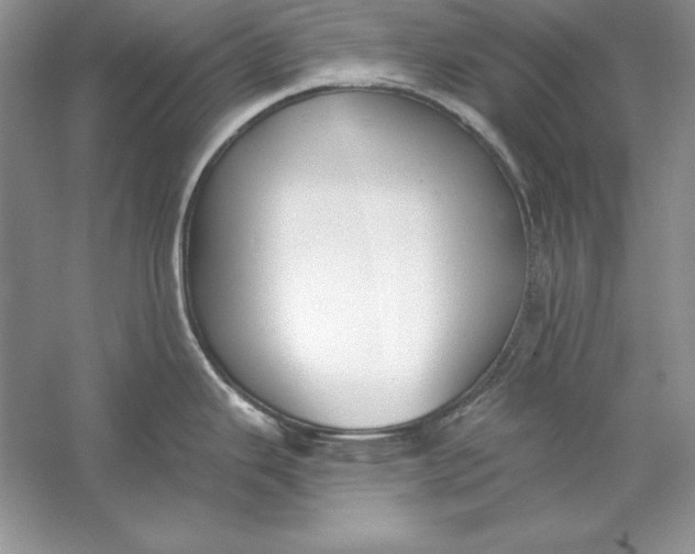 X0000056011343200509092102