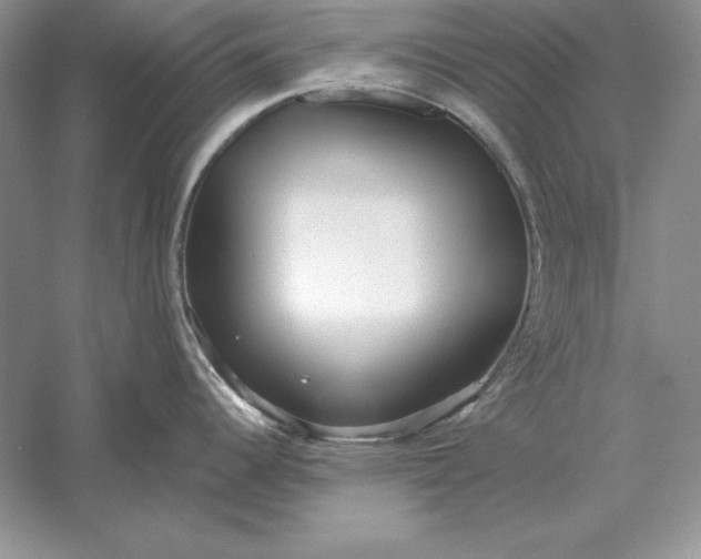 X0000056011344200509092102