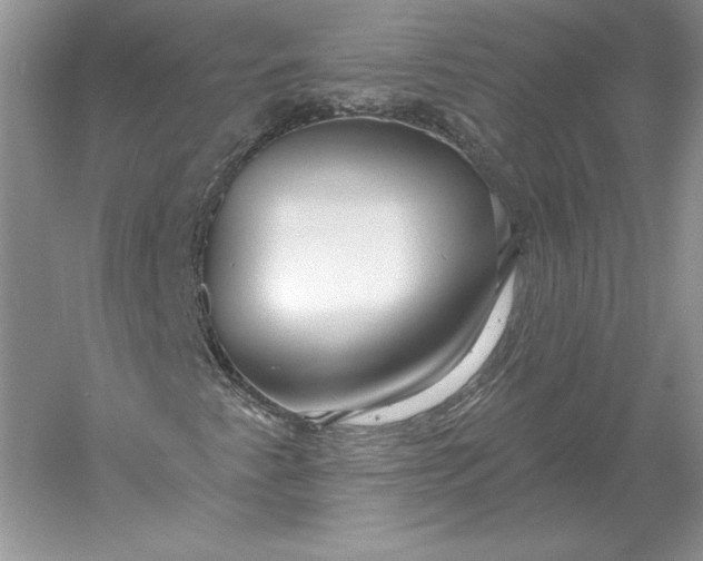 X0000056011345200509092101