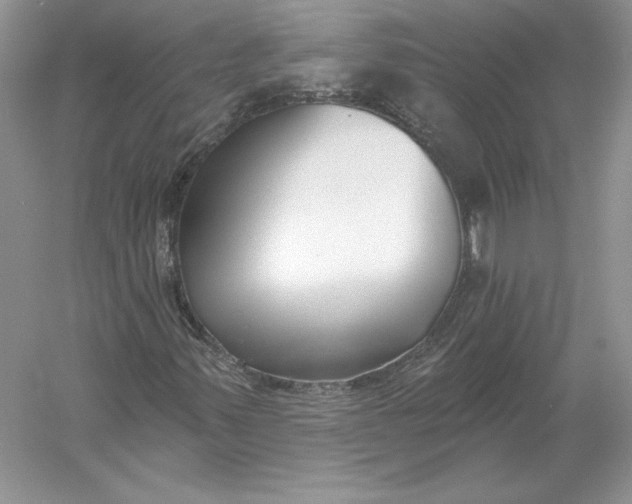 X0000056011347200509092101