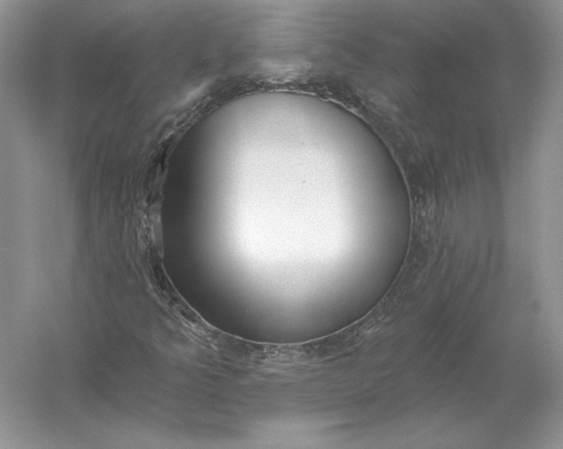X0000056011349200509092101
