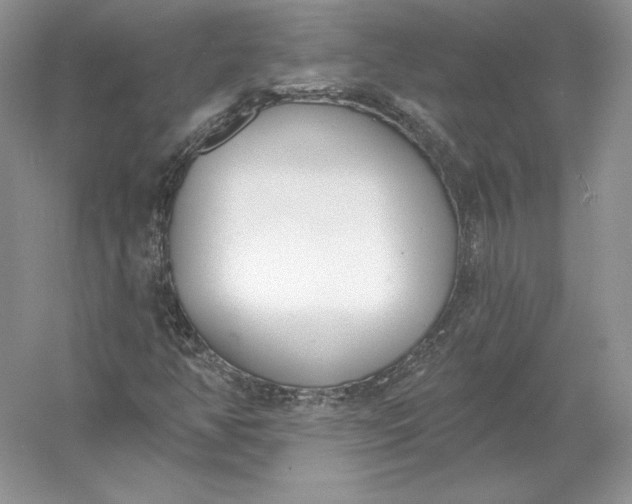 X0000056011350200509092101