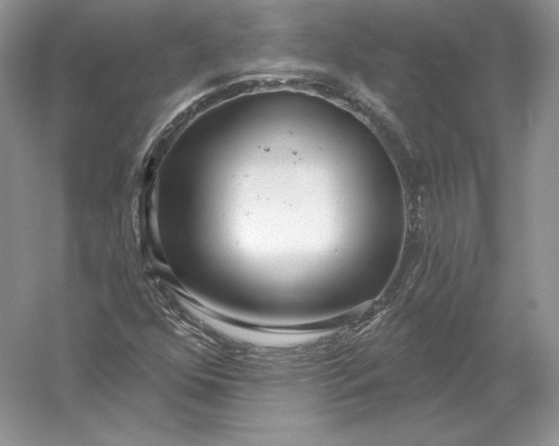 X0000056011352200509092101