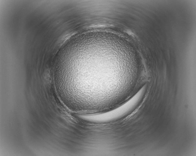 X0000056011353200509092101