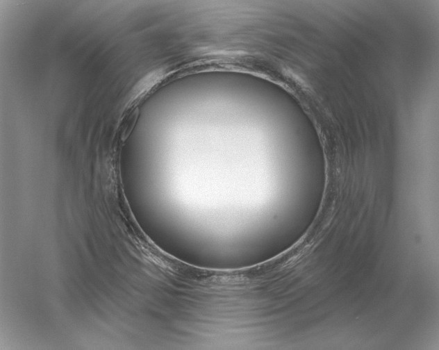 X0000056011354200509092101