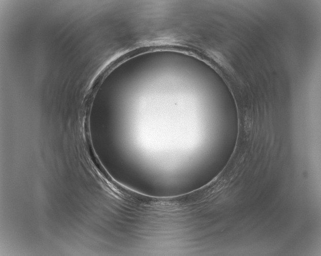 X0000056011356200509092101