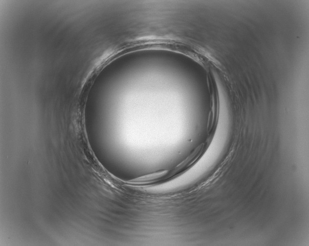X0000056011357200509092101