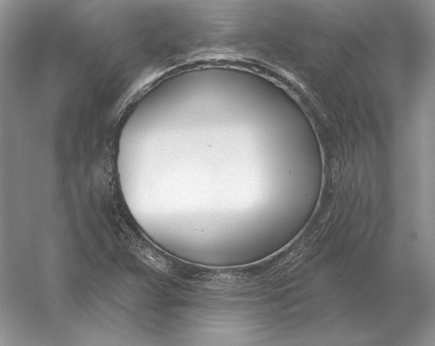 X0000056011359200509092101