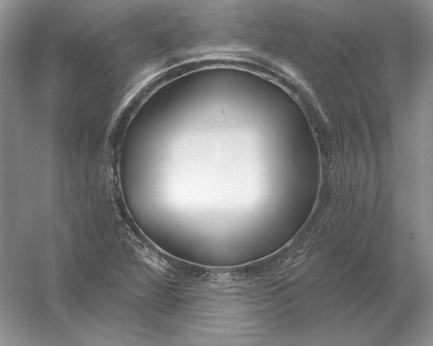X0000056011360200509092101