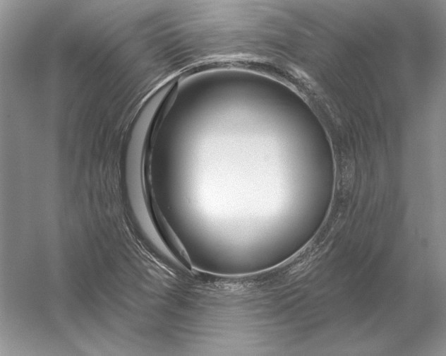 X0000056011361200509092101