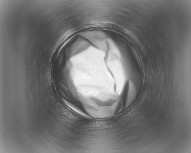 X0000056011362200509092101