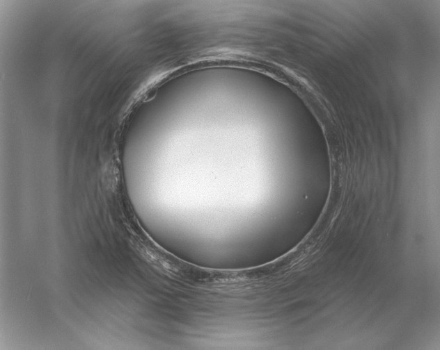 X0000056011363200509092101
