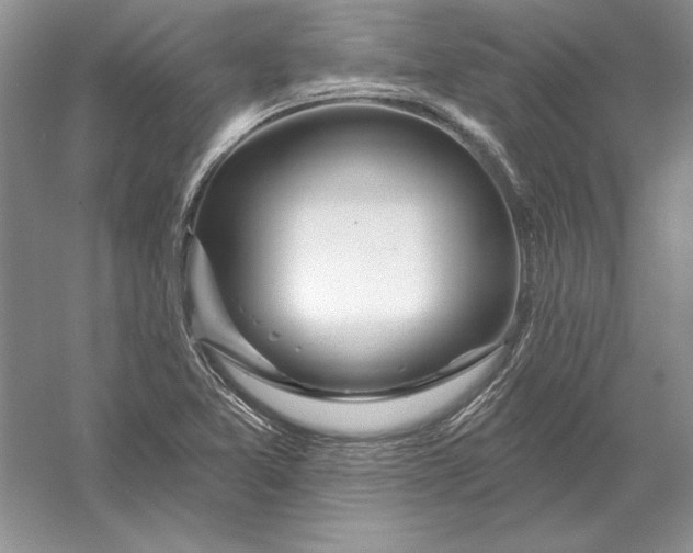 X0000056011365200509092101
