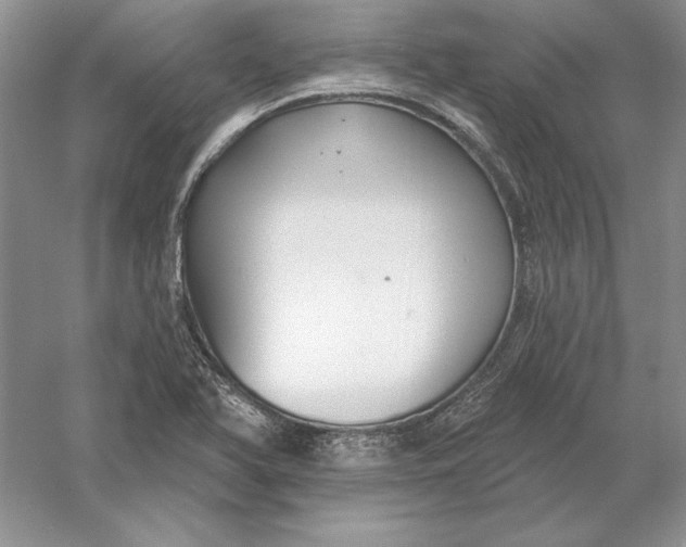 X0000056011366200509092101