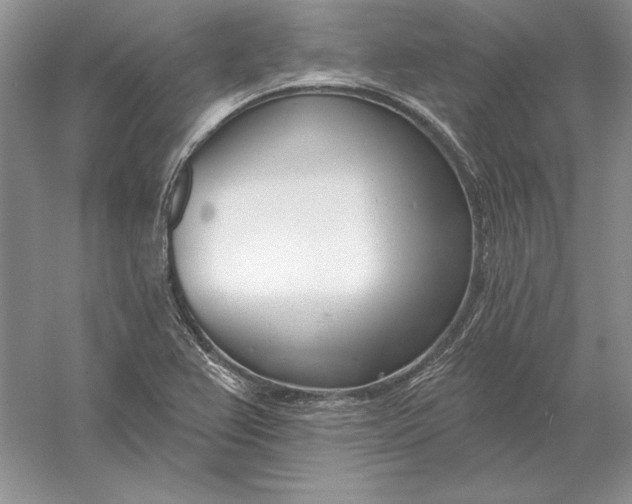 X0000056011367200509092101