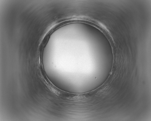 X0000056011368200509092101