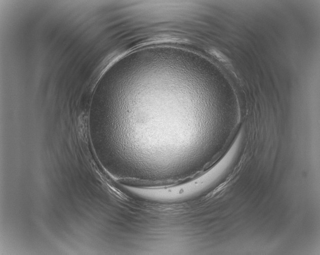 X0000056011369200509092101