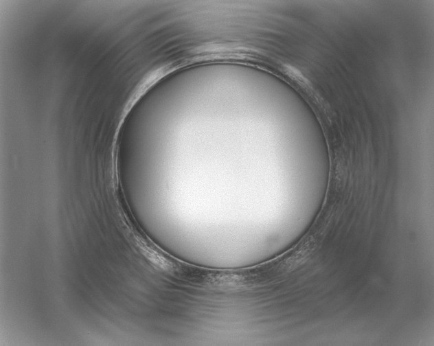 X0000056011370200509092101