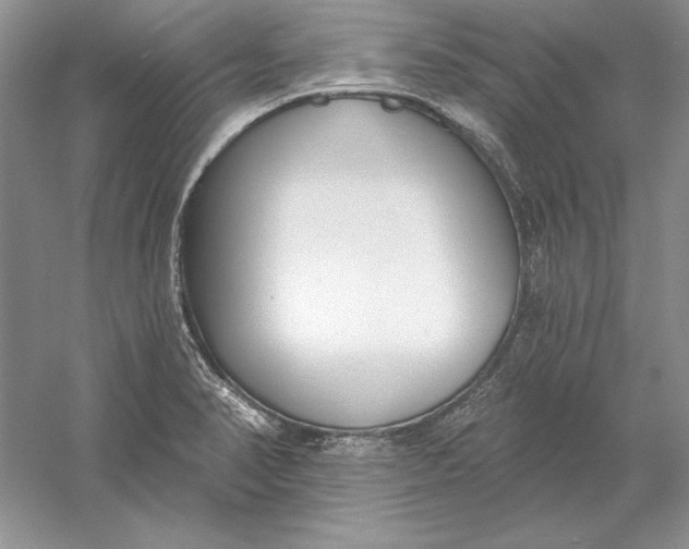 X0000056011374200509092101