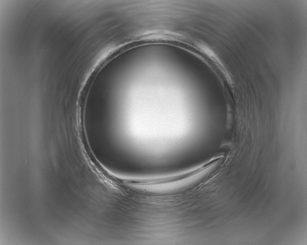 X0000056011376200509092101