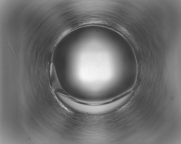 X0000056011377200509092101