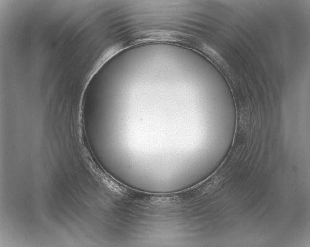 X0000056011378200509092101