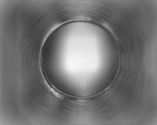 X0000056011379200509092101