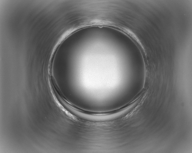 X0000056011381200509092100