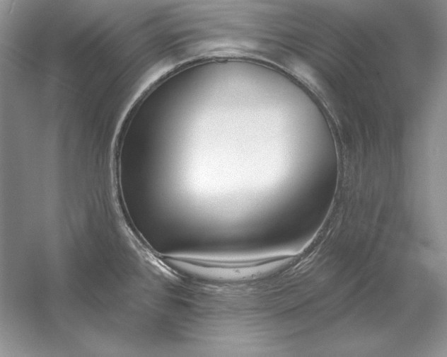 X0000056011384200509092100