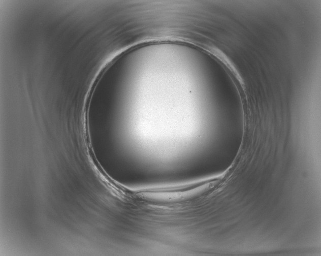 X0000056011388200509092100