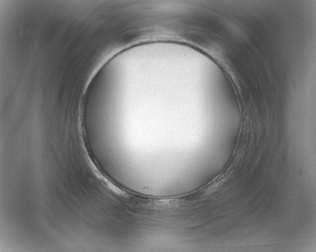 X0000056011390200509092100