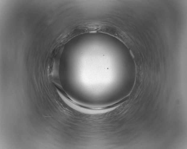X0000056011394200509092059