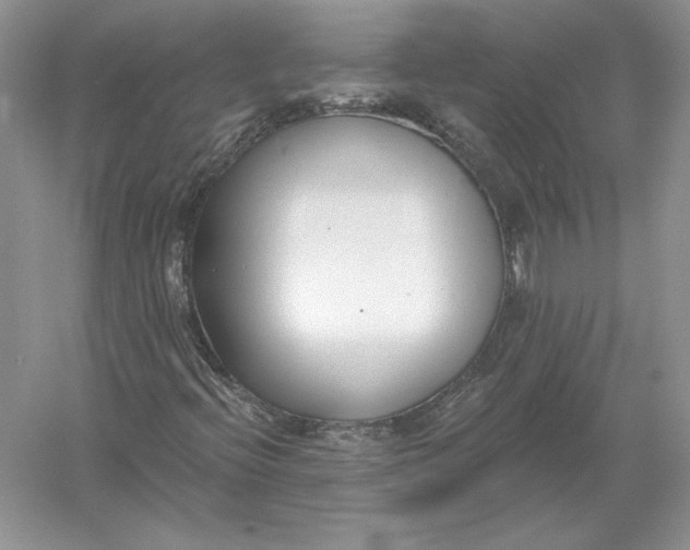 X0000056011396200509092100