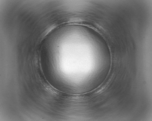 X0000056011401200509092100